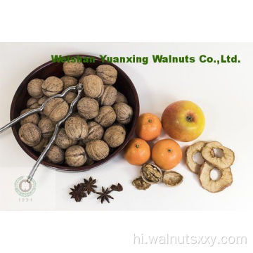 विश्व अखरोट की गुठली में कोई 1 नहीं